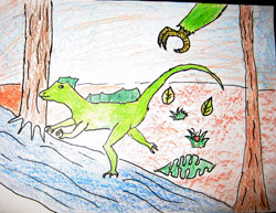 Drawing of Rainforest Lizard