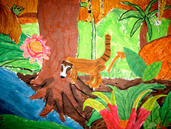 Drawing of Rainforest animal